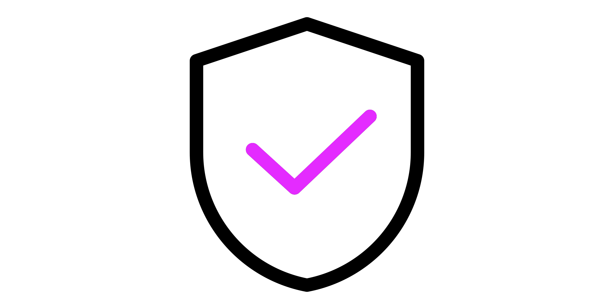 Icon of a shield with a checkmark on it